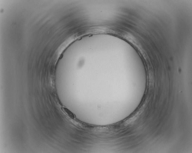 X0000071771481200607282201