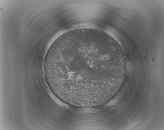 X0000071771482200607282201