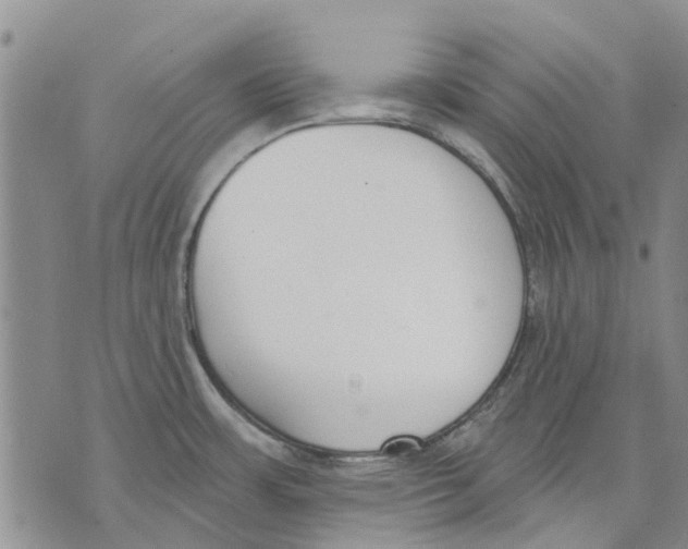 X0000071771483200607282201