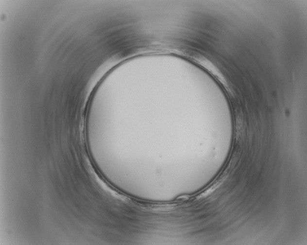 X0000071771484200607282201