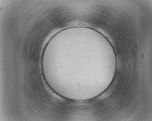 X0000071771486200607282201