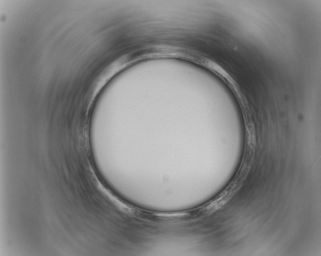 X0000071771487200607282200