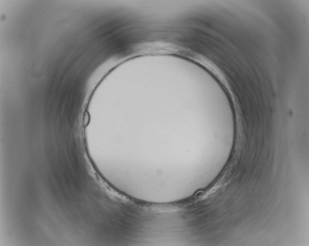 X0000071771488200607282200