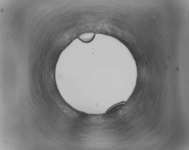 X0000071771489200607282200