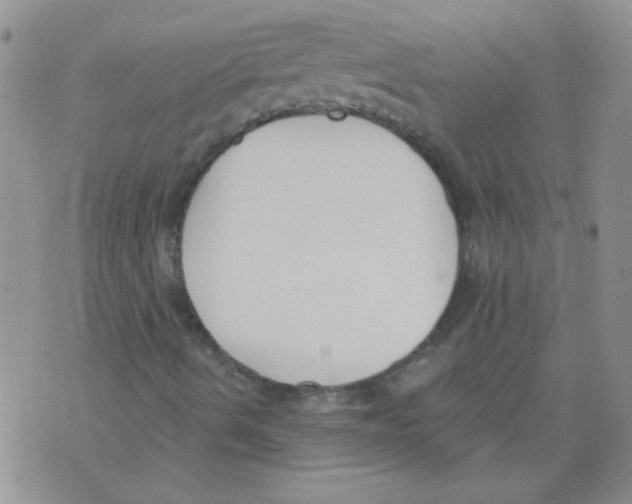 X0000071771490200607282200