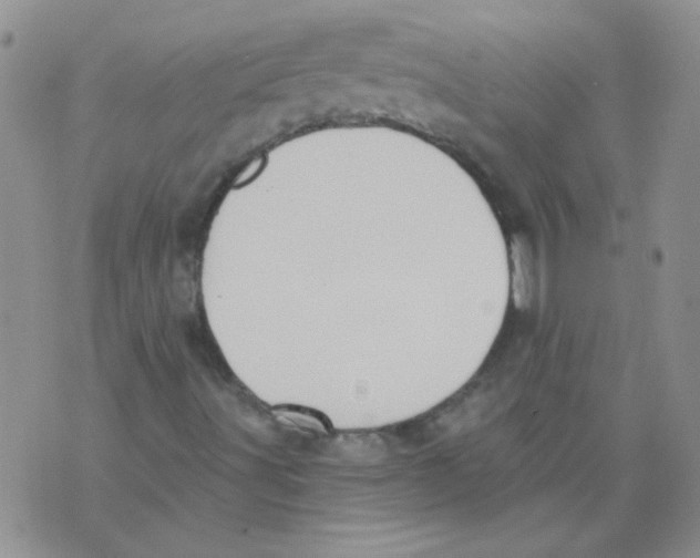 X0000071771491200607282200