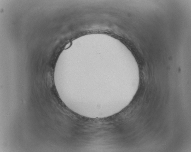 X0000071771493200607282200