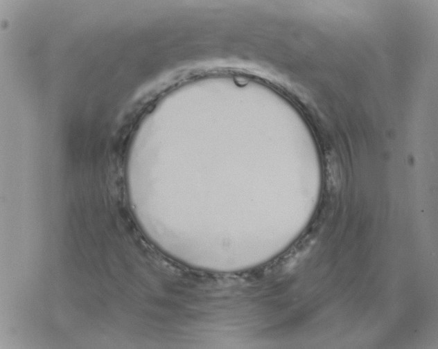 X0000071771494200607282200