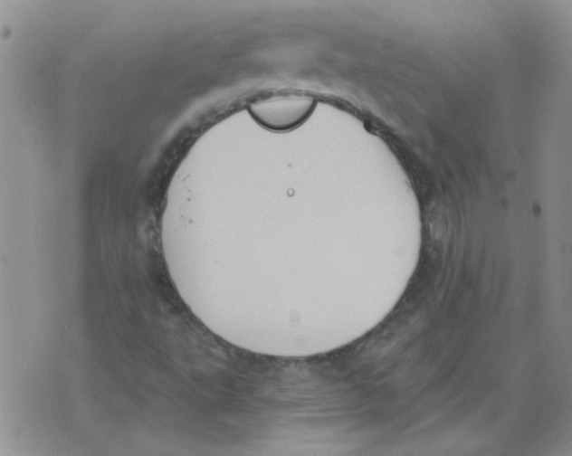 X0000071771495200607282200