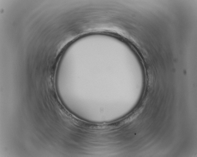 X0000071771497200607282200