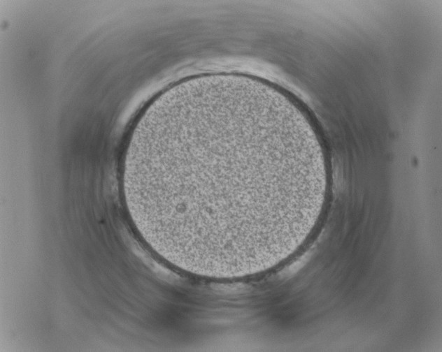 X0000071771498200607282200