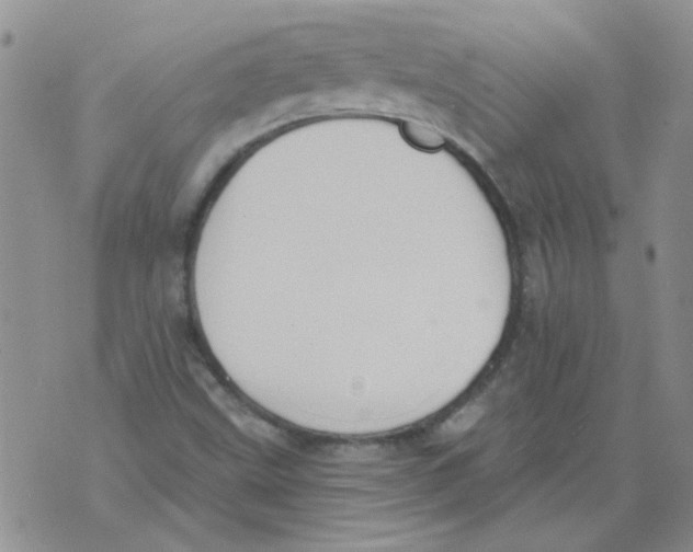 X0000071771499200607282200