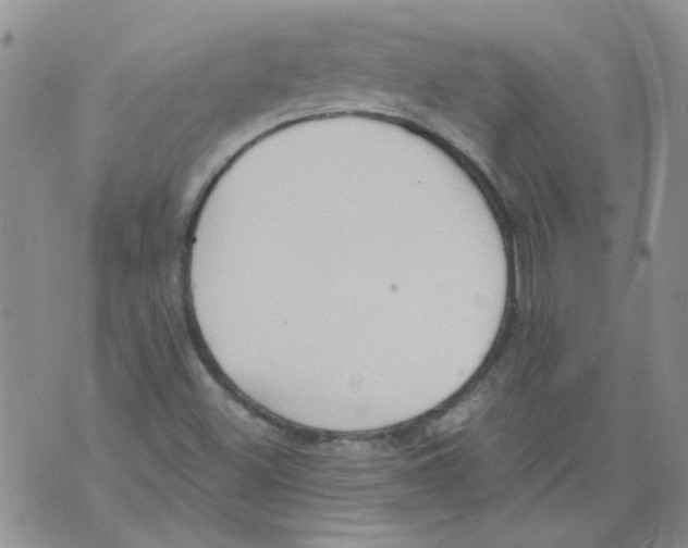 X0000071771500200607282200