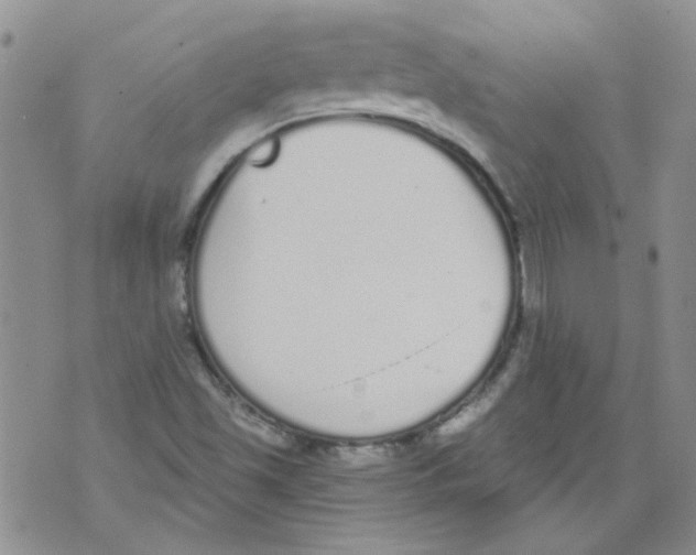 X0000071771501200607282200