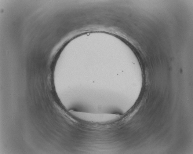 X0000071771502200607282200