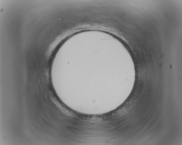 X0000071771503200607282200