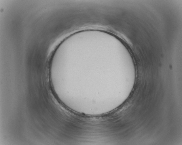 X0000071771504200607282200