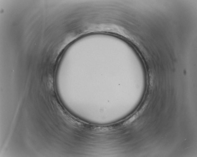 X0000071771505200607282200