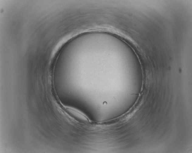 X0000071771506200607282200