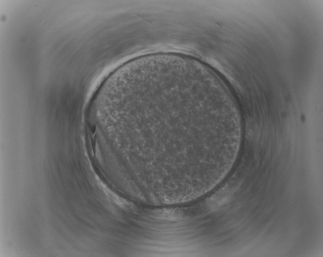 X0000071771508200607282200