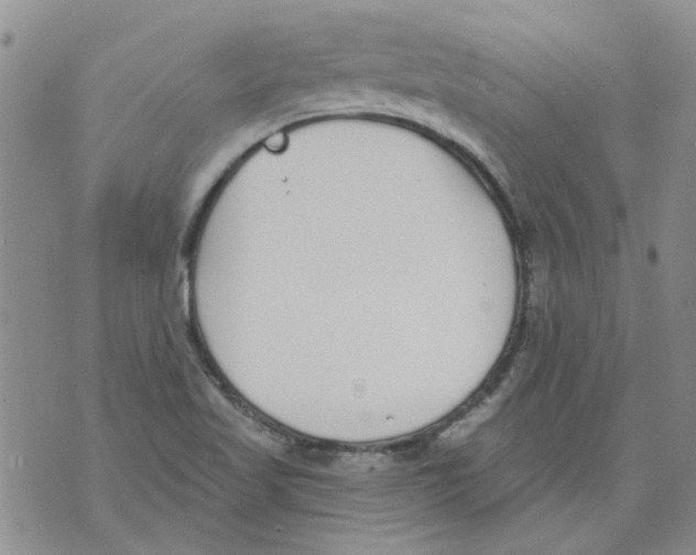 X0000071771509200607282200