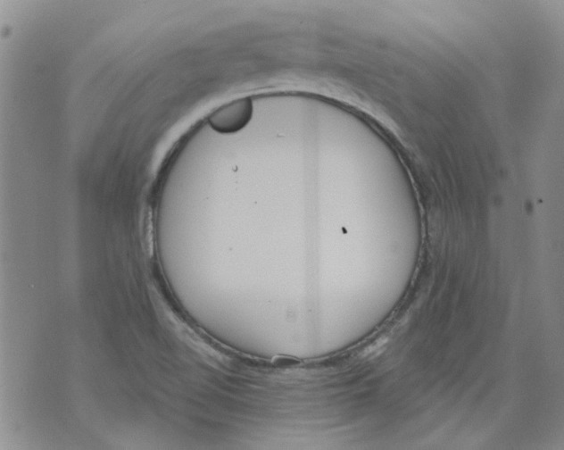 X0000071771510200607282200