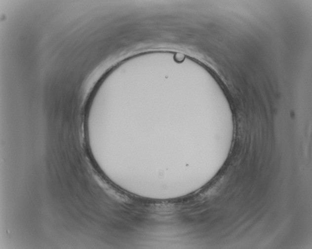 X0000071771511200607282200