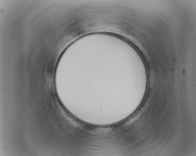 X0000071771513200607282200