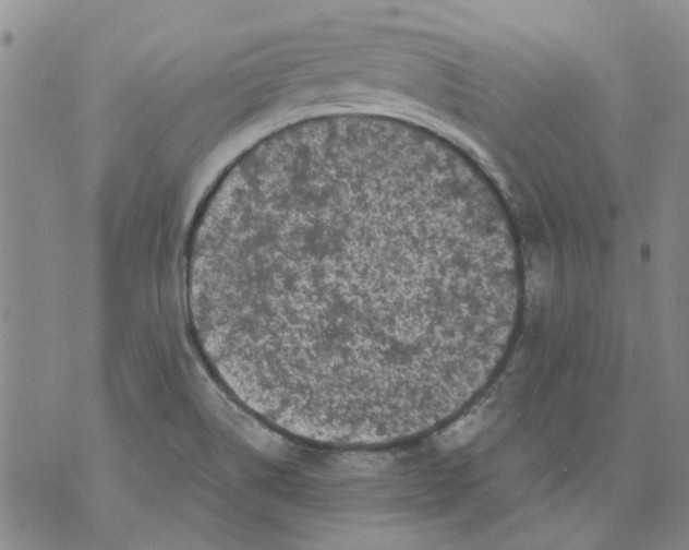 X0000071771514200607282200