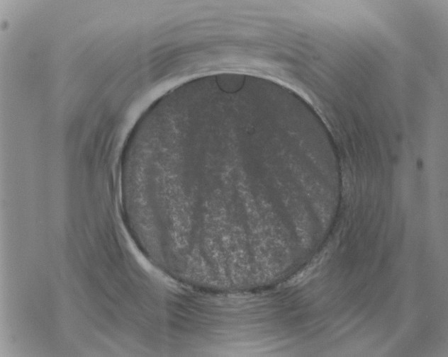 X0000071771515200607282200