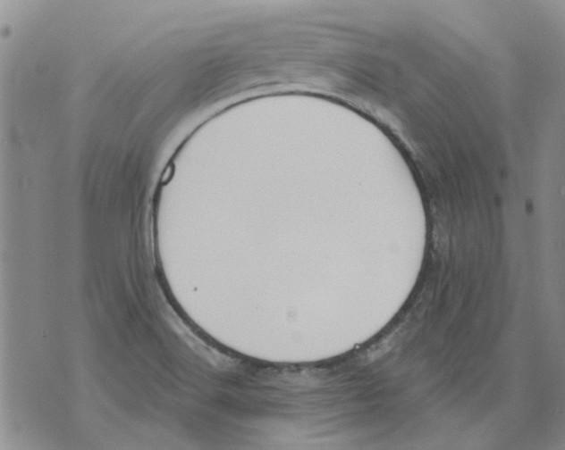 X0000071771516200607282200