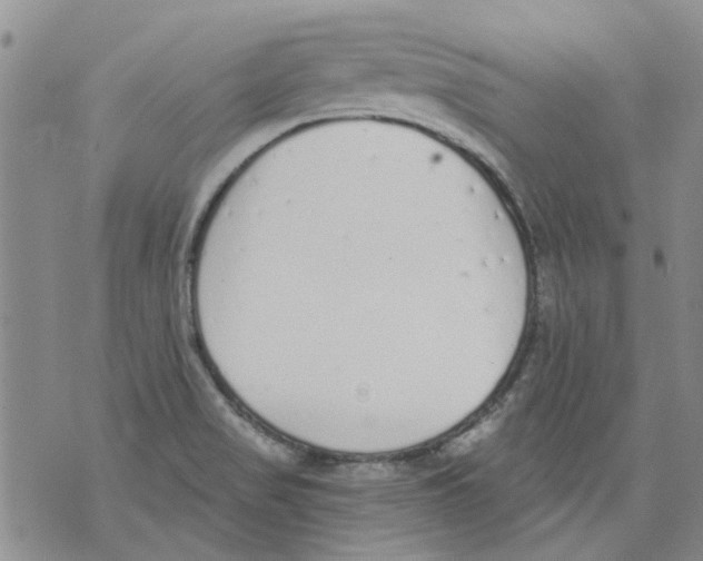 X0000071771517200607282200