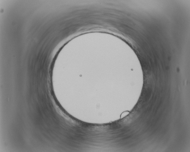 X0000071771518200607282200