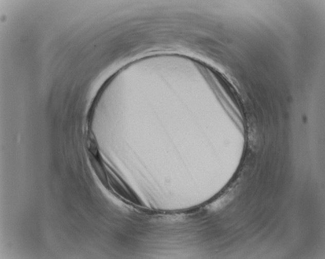 X0000071771519200607282200