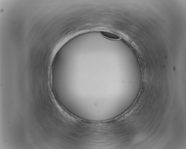 X0000071771520200607282200