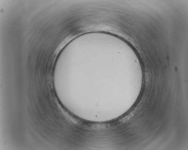 X0000071771521200607282200