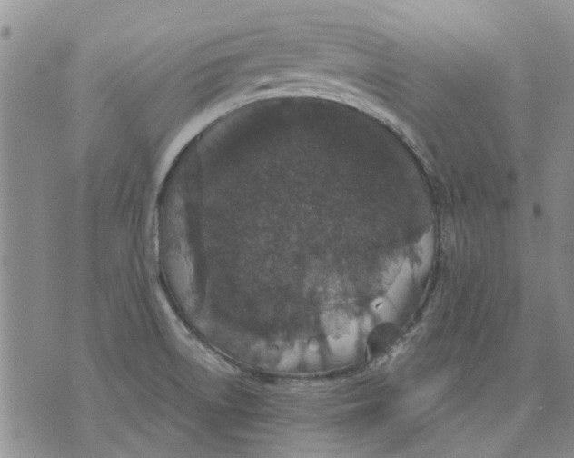 X0000071771522200607282200