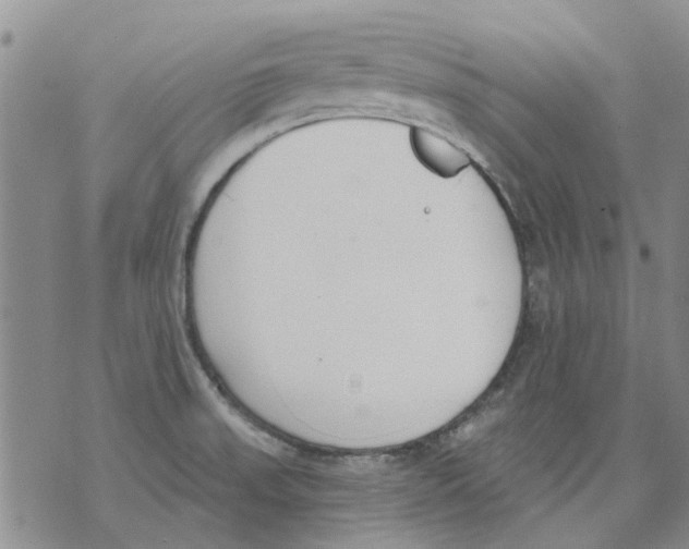 X0000071771523200607282200