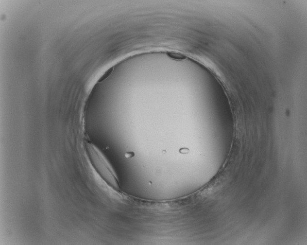 X0000071771524200607282200