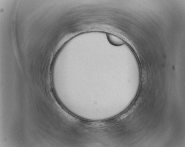 X0000071771525200607282200