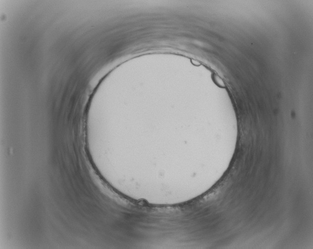 X0000071771526200607282200