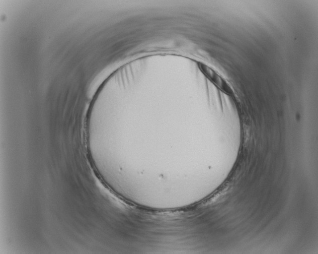 X0000071771527200607282200