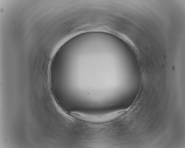 X0000071771528200607282200