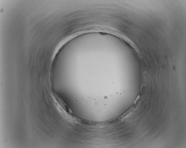 X0000071771530200607282200