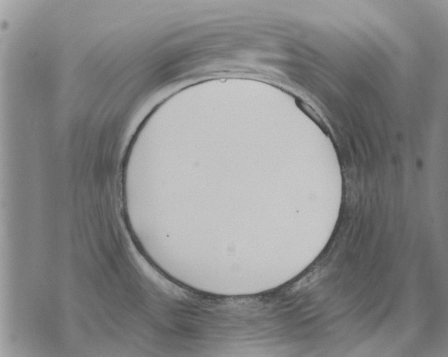 X0000071771531200607282200