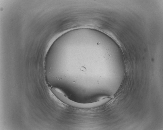 X0000071771532200607282200