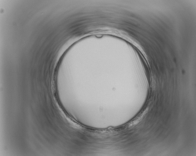 X0000071771533200607282200