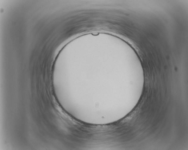 X0000071771534200607282200