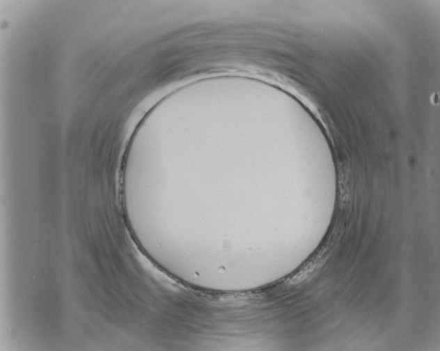 X0000071771535200607282200