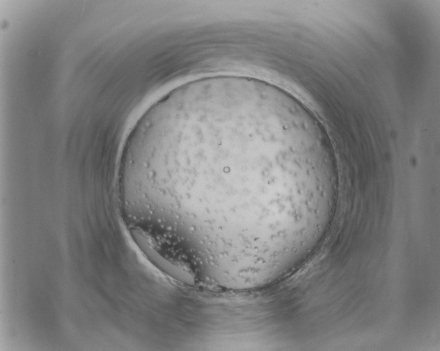 X0000071771536200607282200